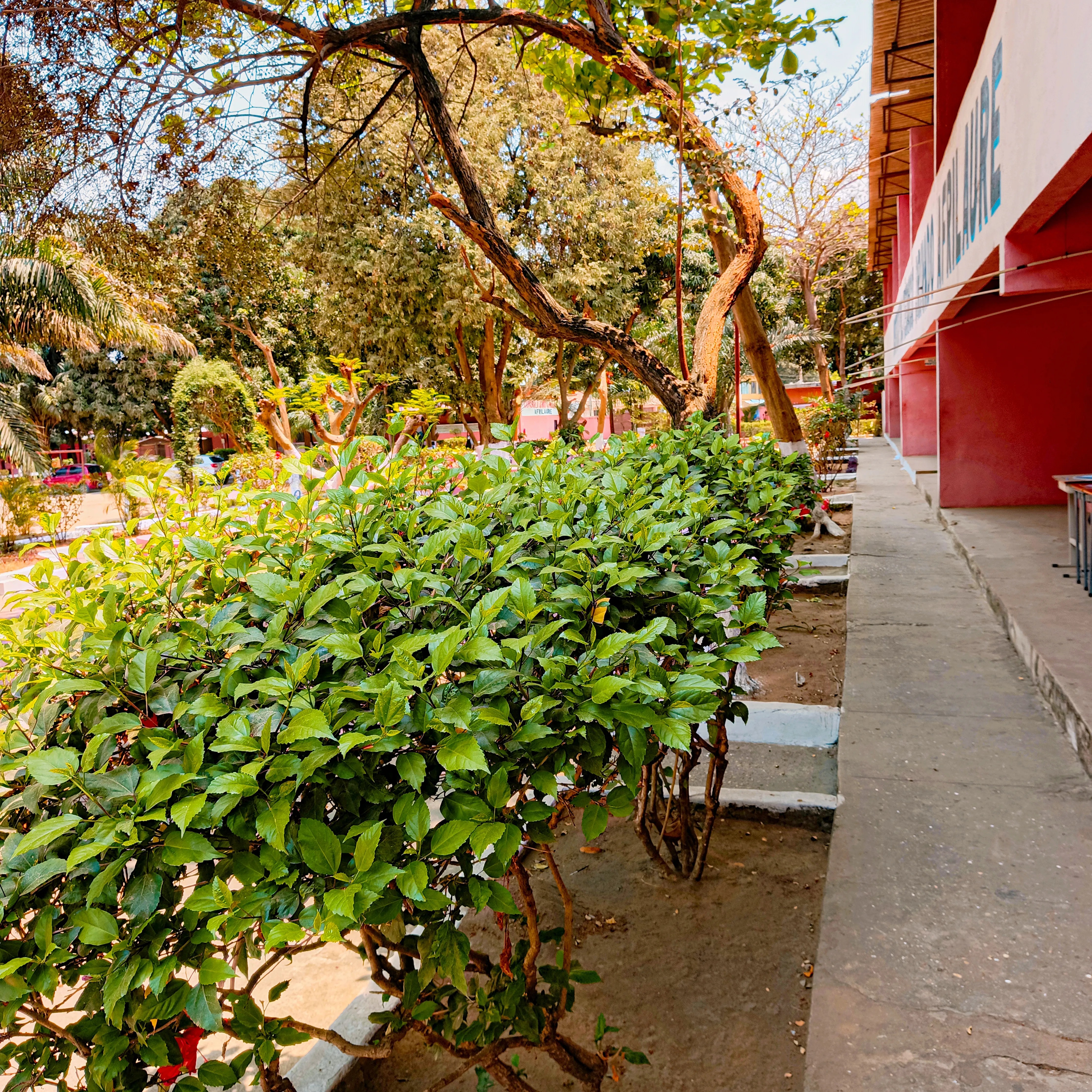 Estudantes do Instituto Politécnico Privado AFRILAURE