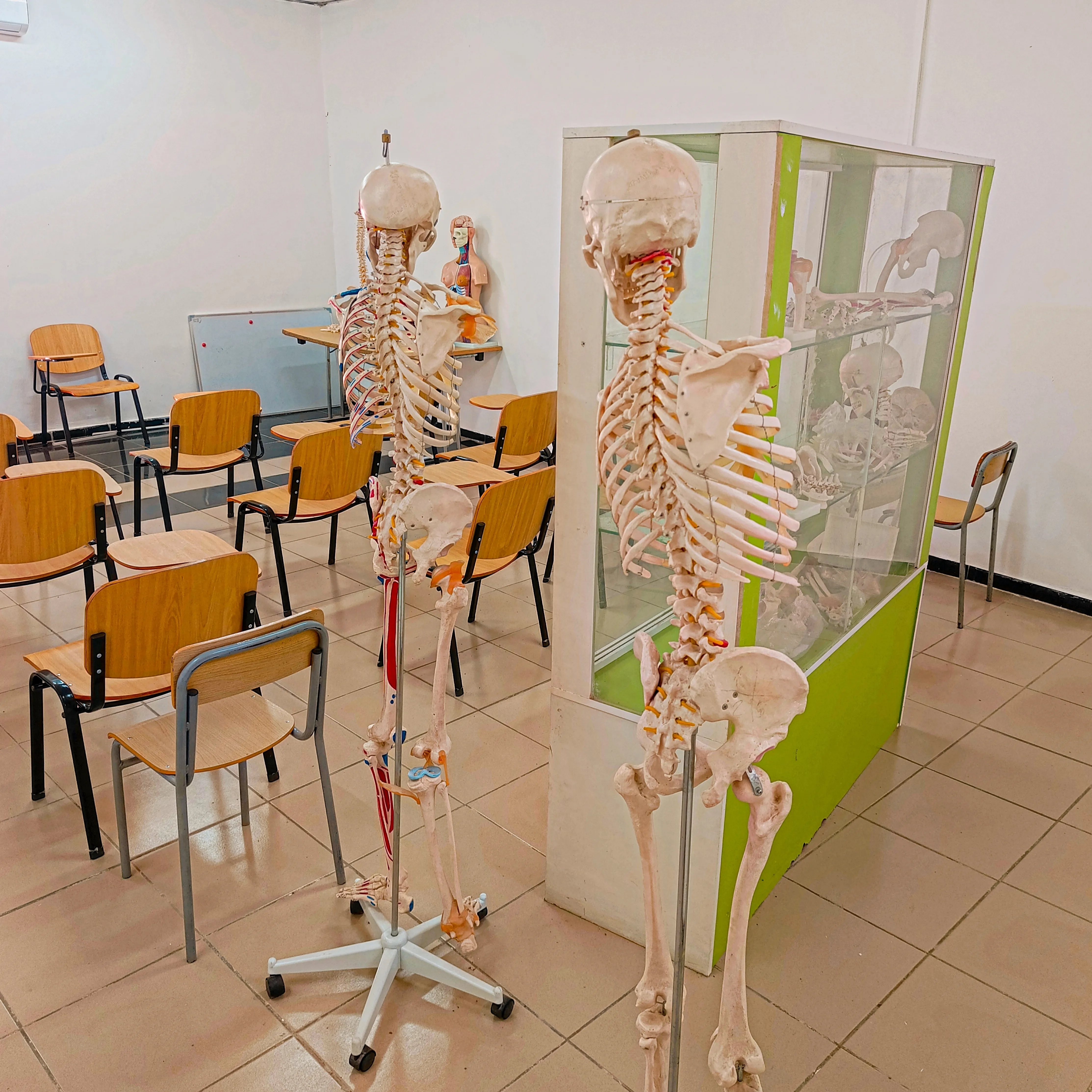 Laboratório Moderno