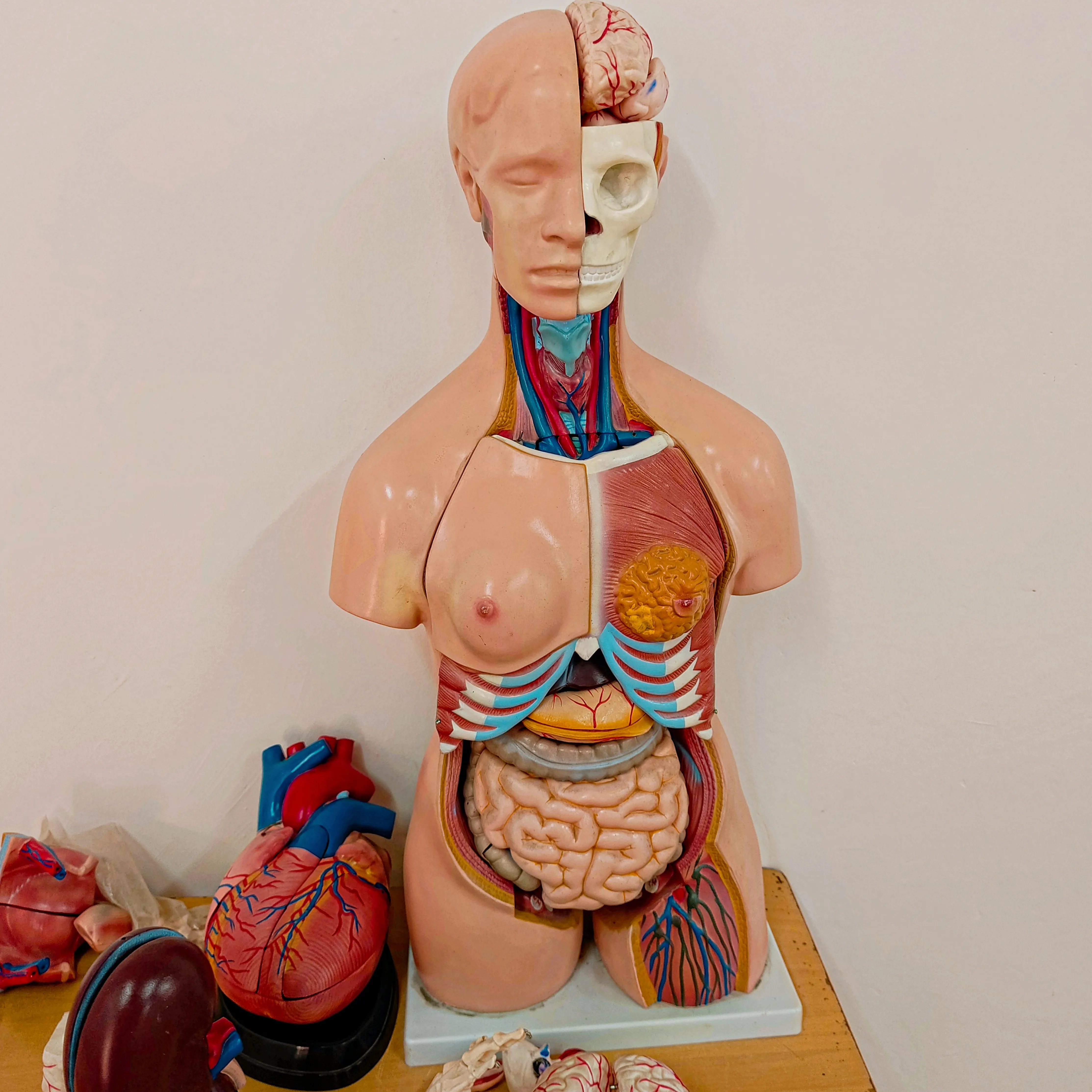 Laboratório Moderno