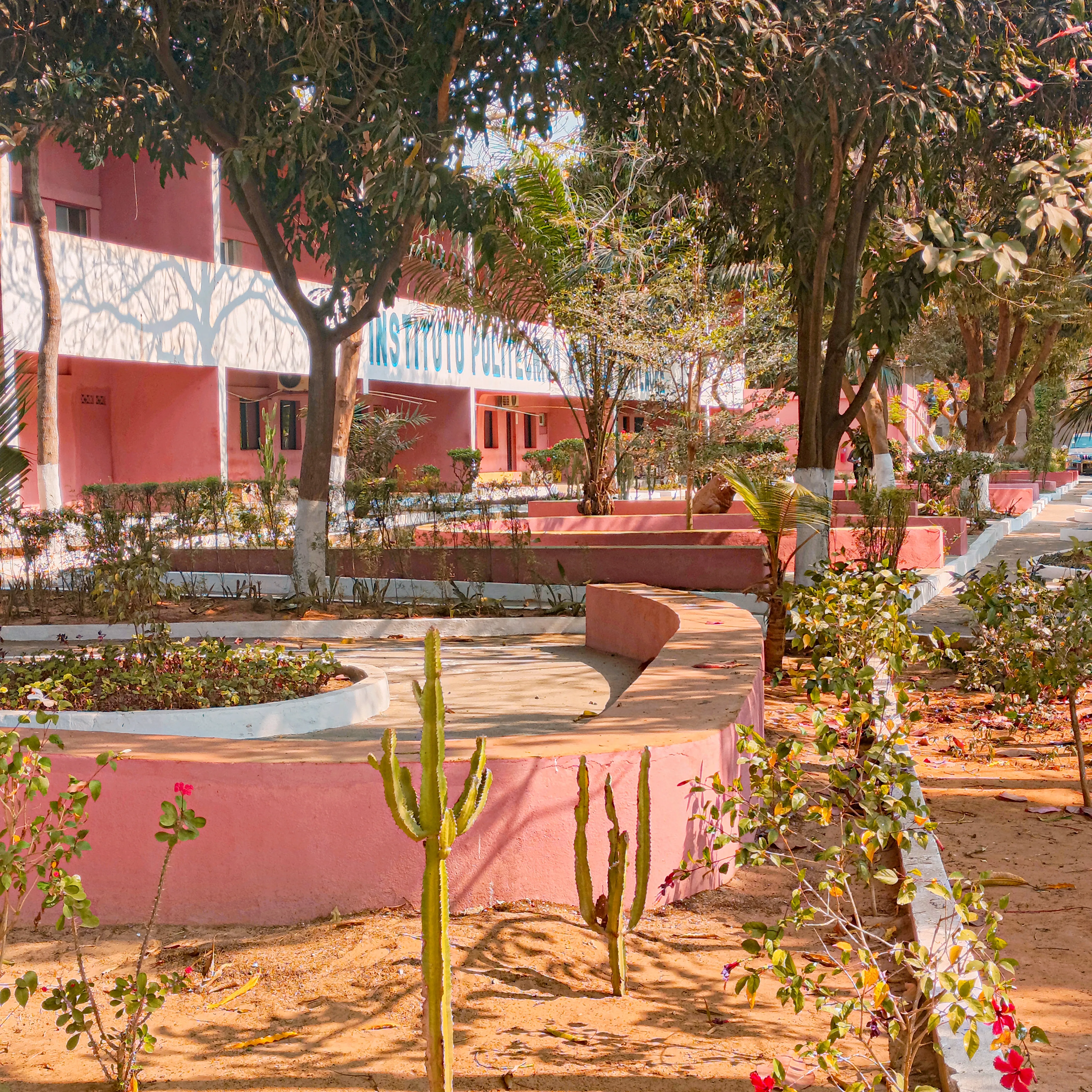 Local de lazer escolar